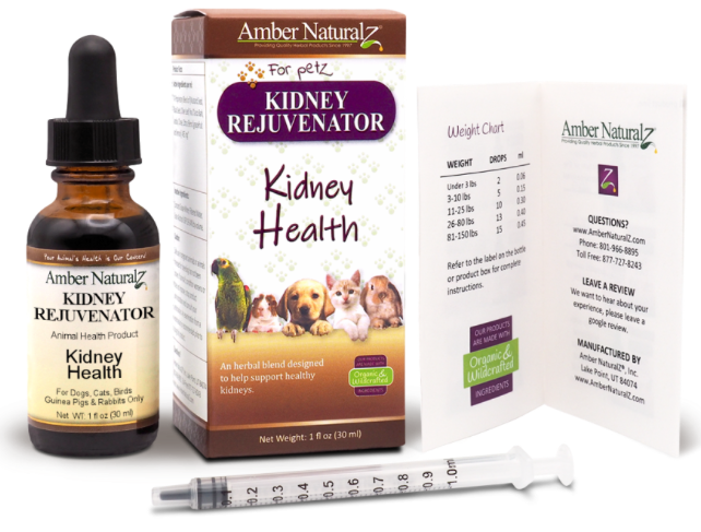 Kidney Rejuvenator